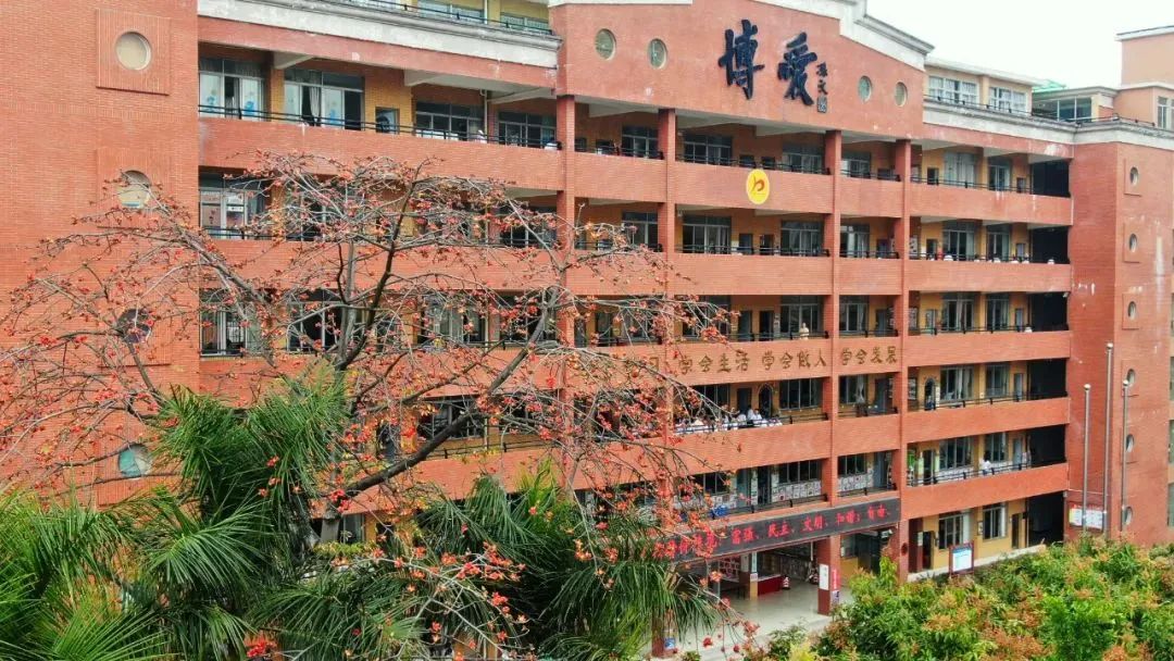 祥聚案例分享|博愛(ài)心育，以愛(ài)育愛(ài)，清遠(yuǎn)市博愛(ài)學(xué)校
